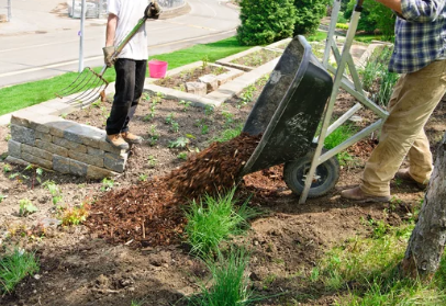 Weekly routine landscaping